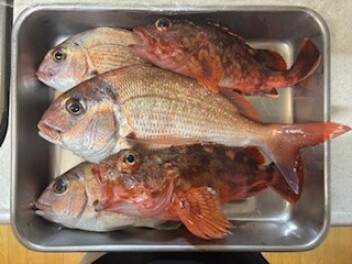 タイラバ船　乗船してきました(^^♪